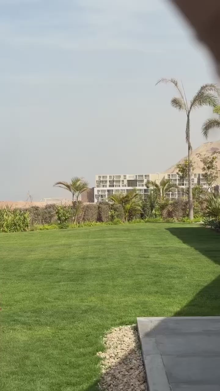 The Surf in Olive Mist